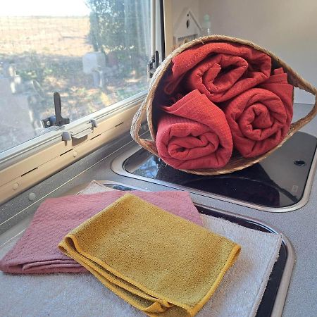 Camping Car A 3 Minutes Du Parc Pairi Daiza 호텔 부흘리테 외부 사진